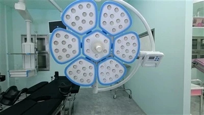 Petal Shape OT Light